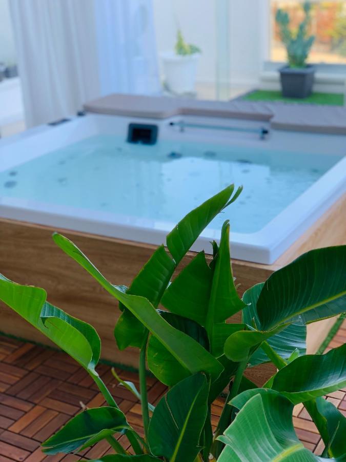 Dalu Suite Terrace باري المظهر الخارجي الصورة