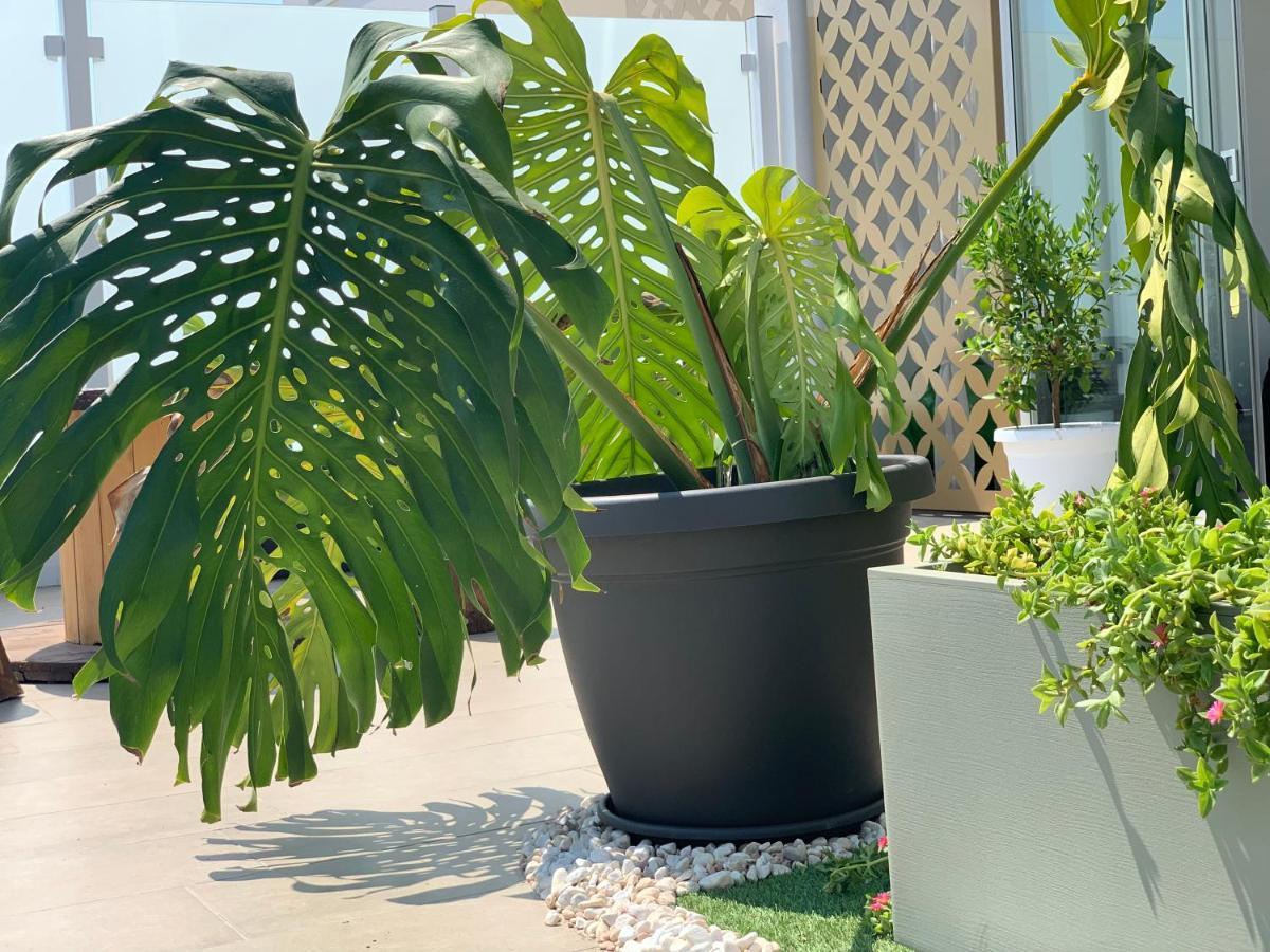 Dalu Suite Terrace باري المظهر الخارجي الصورة