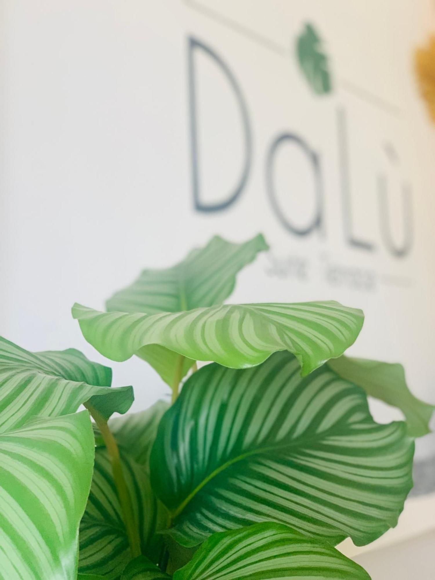 Dalu Suite Terrace باري المظهر الخارجي الصورة